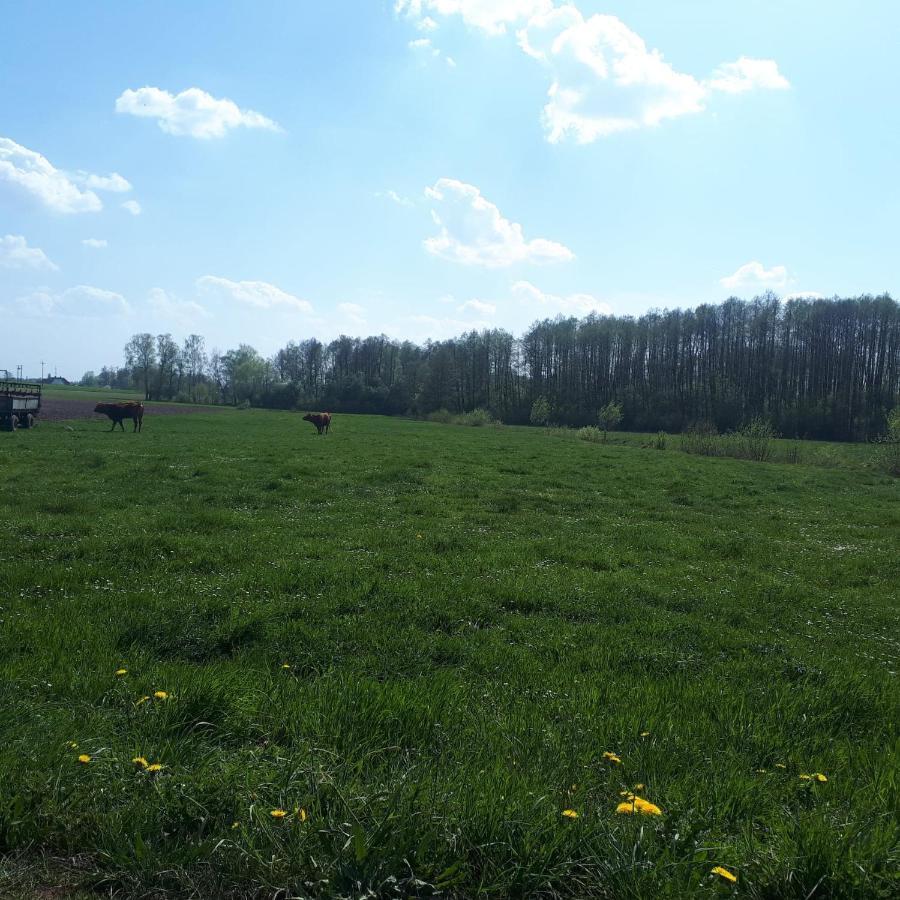 Apartamenty Sawino 4 Tykocin Exterior foto